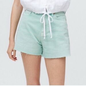 BDG A-Line Mint Denim Shorts